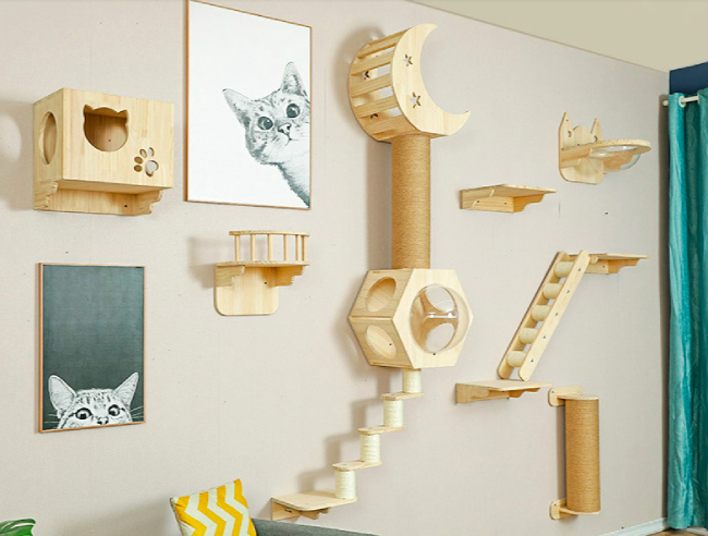 Imagen de accesorios